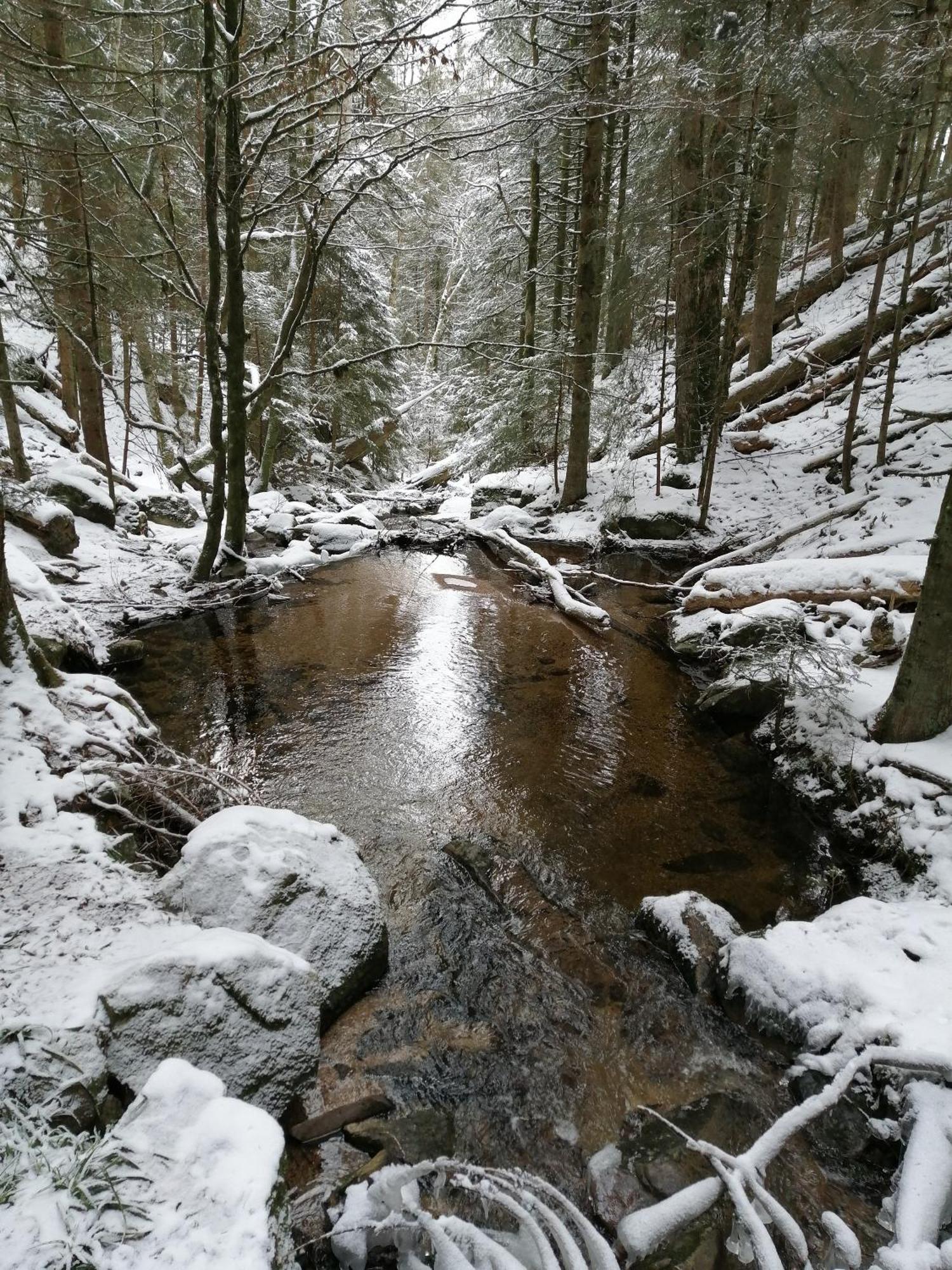 Blackforest Perla Höchenschwand Exterior foto